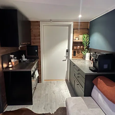 Fossheim - To Lekre Og Nyoppussede Apartment Ulsak